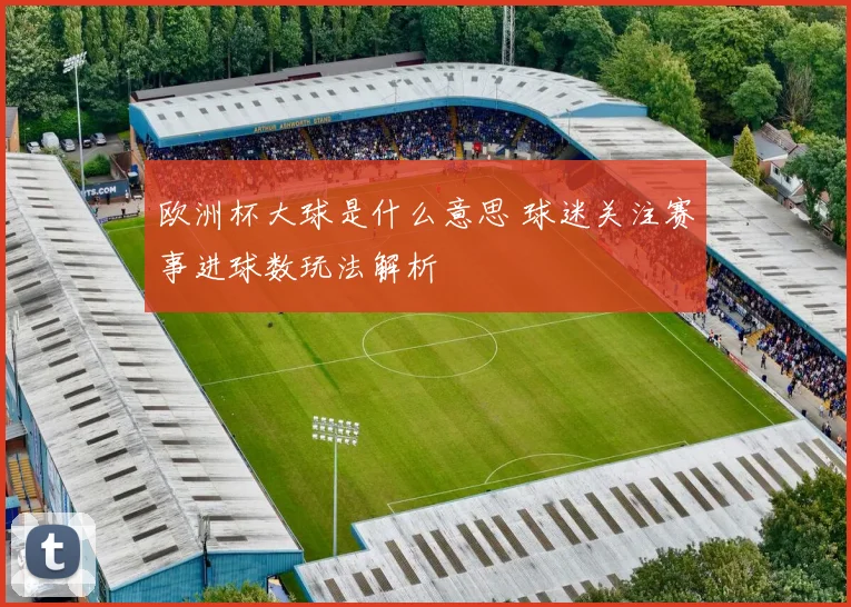 欧洲杯大球是什么意思 球迷关注赛事进球数玩法解析