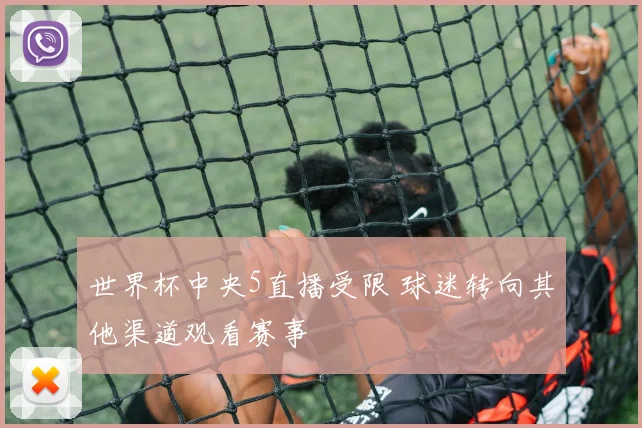 世界杯中央5直播受限 球迷转向其他渠道观看赛事