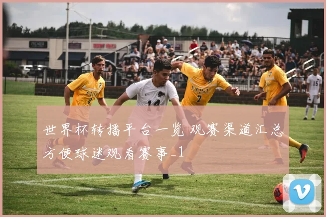 世界杯转播平台一览 观赛渠道汇总方便球迷观看赛事_1