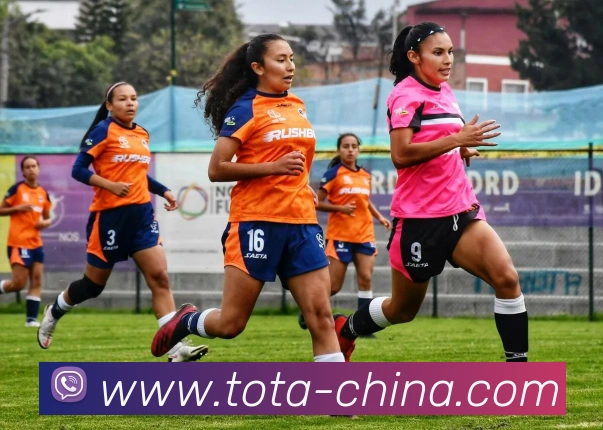 App Interface Preview